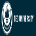Ted University Faculty of Economics and Administrative Sciences International Scholarships, Turkey